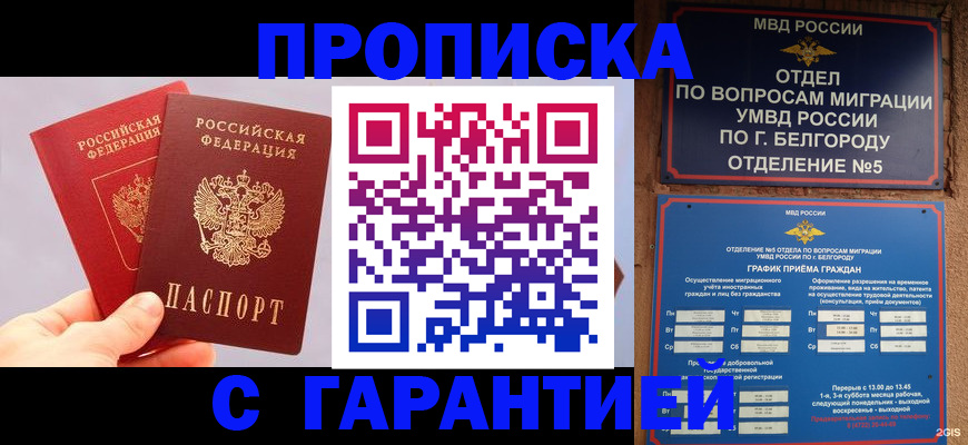 прописка 2025 в Чкаловске